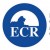 BrandEBook_com_european_conservatives_and_reformists_group_graphic_standards_manual_-1